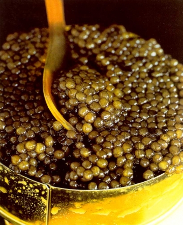 medium_caviar_in_jar.jpg